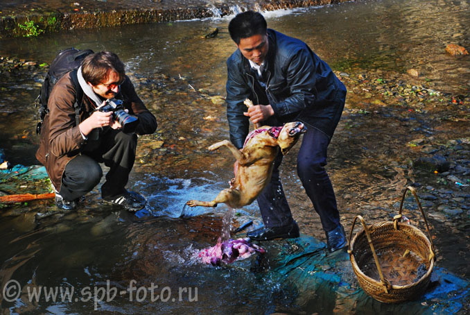 Фотограф Владимир Григорьев фотографирует китайца, который потрошит убитую собаку