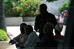 На фото, таксисты острова Занзибар ждут клиентов в тени дерева