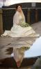 Невеста и ее отражение в луже