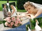 Свадебный коллаж - молодожены в Екатерининском парке
