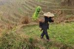 Крестьянин из деревни Дажай, Южный Китай, фото
