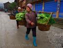 Женщины несут зелень на рынок в деревне Жаосин