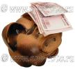 Купюры по 500 рублей на керамической свинье-копилке, фото