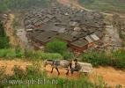 Вид на деревню Зенчон (Zengchong village) и телегу с лошадью, на которой едет местный крестьянин