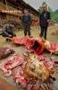 Разделывание свиных туш на дороге деревни Зенчон, провинция Гуйчжоу (&#22686;&#20914;&#65292;&#36149;&#24030;  ), Юго-Западный Китай