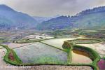 View of rice paddy fields and mountains, Guizhou Province, China