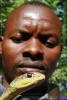 На фото гид со змеиной фермы в Танзании, со своей ручной, не ядовитой змеей
