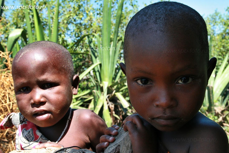 Maasai bambini