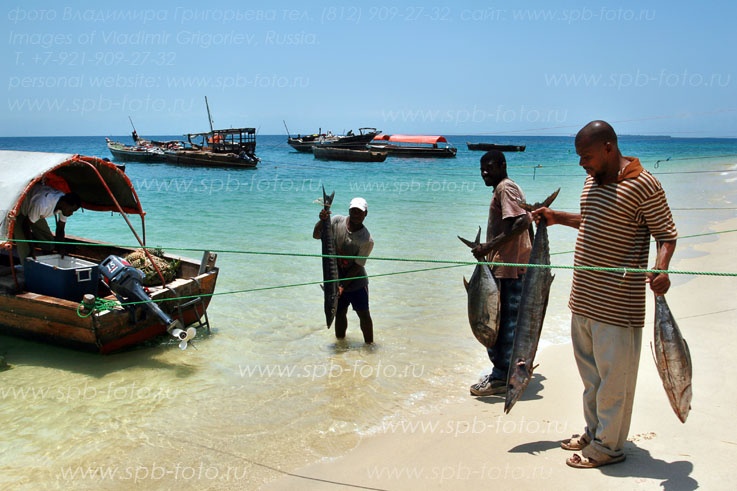 fisheries in tanzania