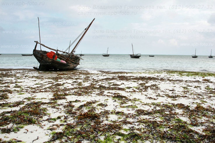 Лодки рыбаков на Занзибаре