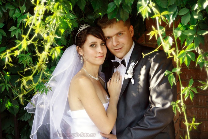 Свадебное фото в зарослях плюща