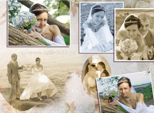 Коллаж свадебной фотосессии в Петергофе