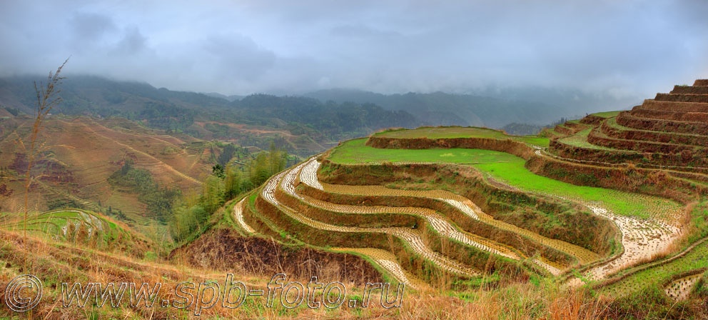 Рисовые террасы в районе деревни Дажай, Китай