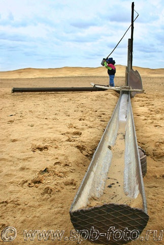 Поилка для скота в астраханской пустыне, фото