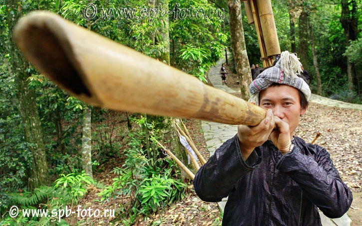 Музыкальные инструменты из бамбука – Lu Sheng (&#33446;&#31513;), фото