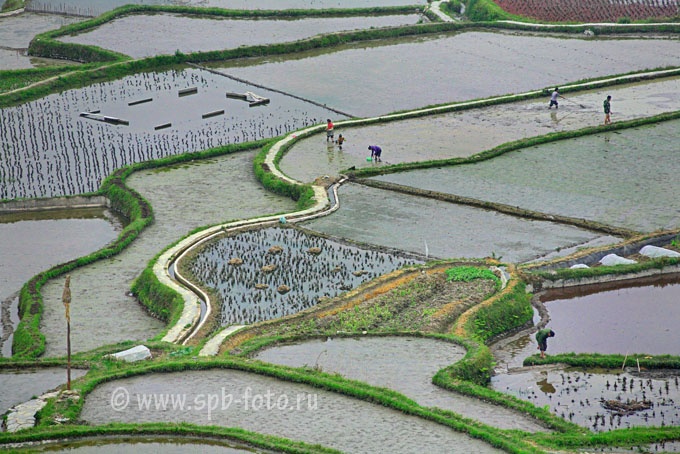 Subsistence farming in Southern China