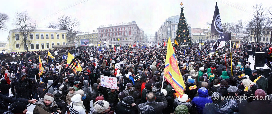 Панорамный снимок группы митингующих 24