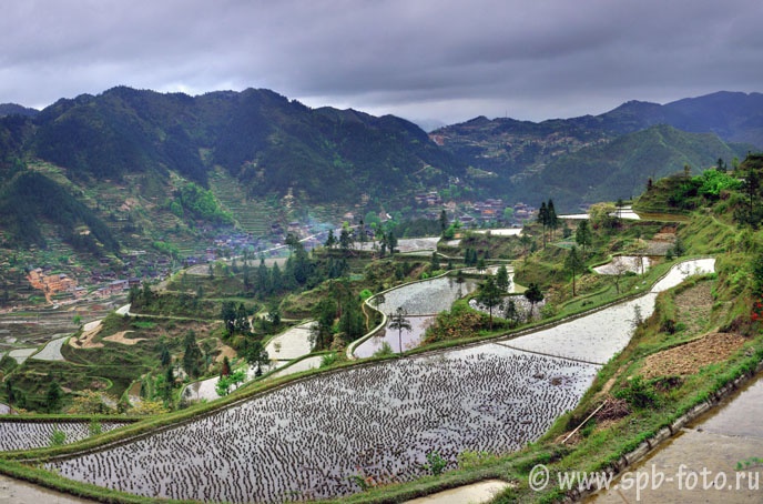 Азиатское земледелие – рисовые террасы в горах провинции Гуйчжоу, Китай