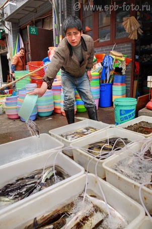 Уличный торговец живой рыбой в Шанхае, фотография